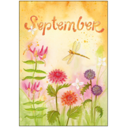 Postkarte - Monatskarte September Blumen